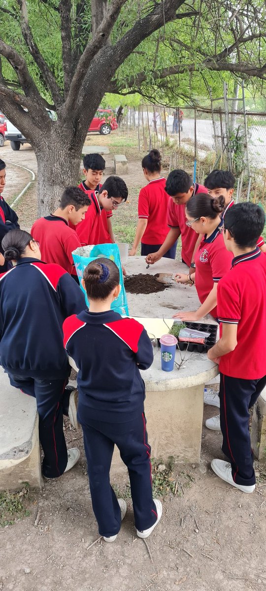 JulienValjean's tweet photo. @reforestacion @JulianValjean Listo, ya esta registrado, la plaza de mi casa y también la secundaria donde trabajo, les platique a mis alumnos, se entusiasmaron, empezamos un almacigo y en la semana haremos limpia de un terreno en la escuela, para cuando lleguen los árboles, haremos una caja de abono. https://t.co/JL8fhA3bsT
