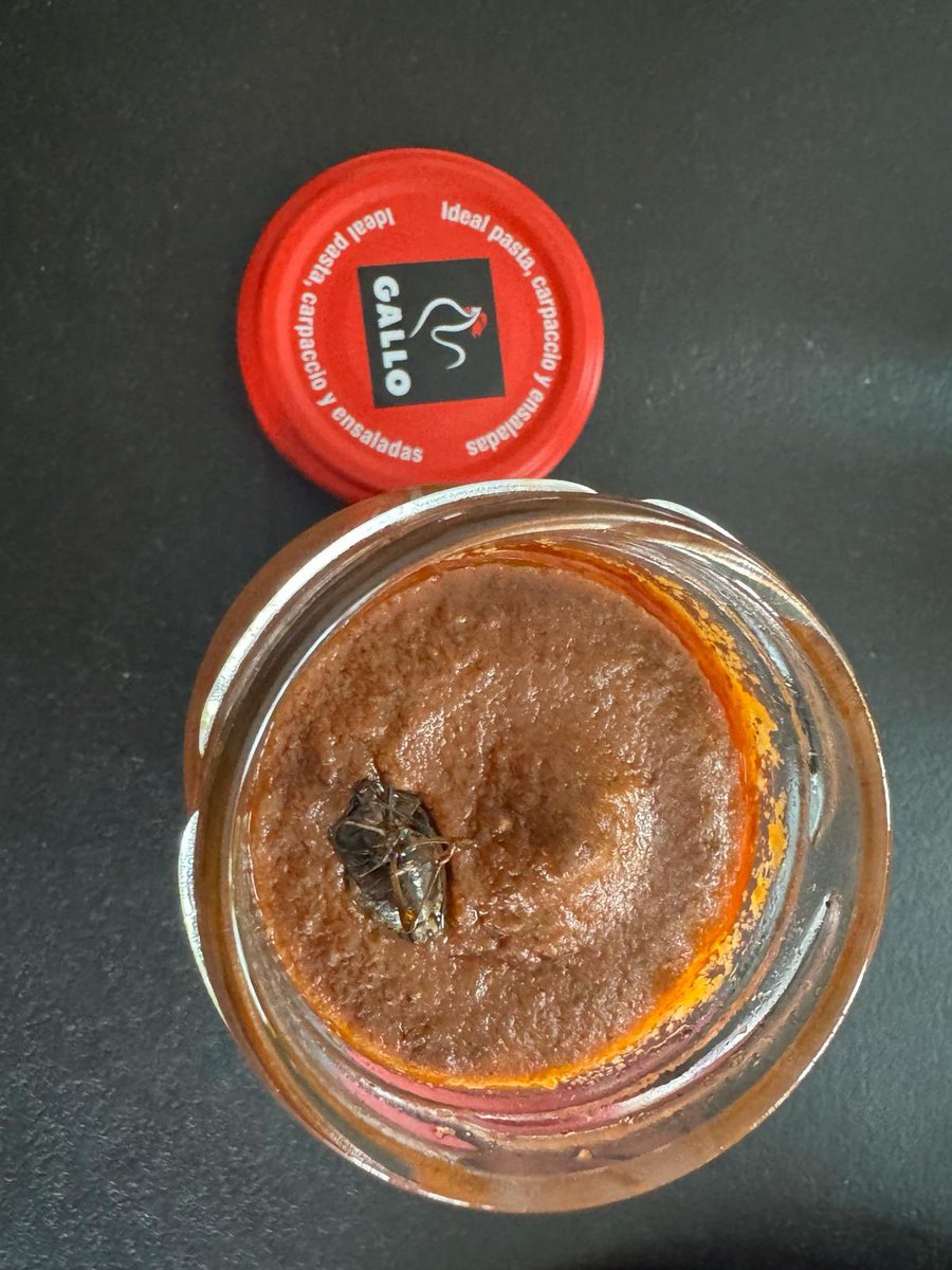 guzolopez's tweet photo. ¡Ayuda @pastasga! parece que algunos amigos de 6 patas decidieron hacer una fiesta en mi Pesto Rosso. ¿Quien les ha invitado? #fiestainesperada https://t.co/l6hUumAlaH