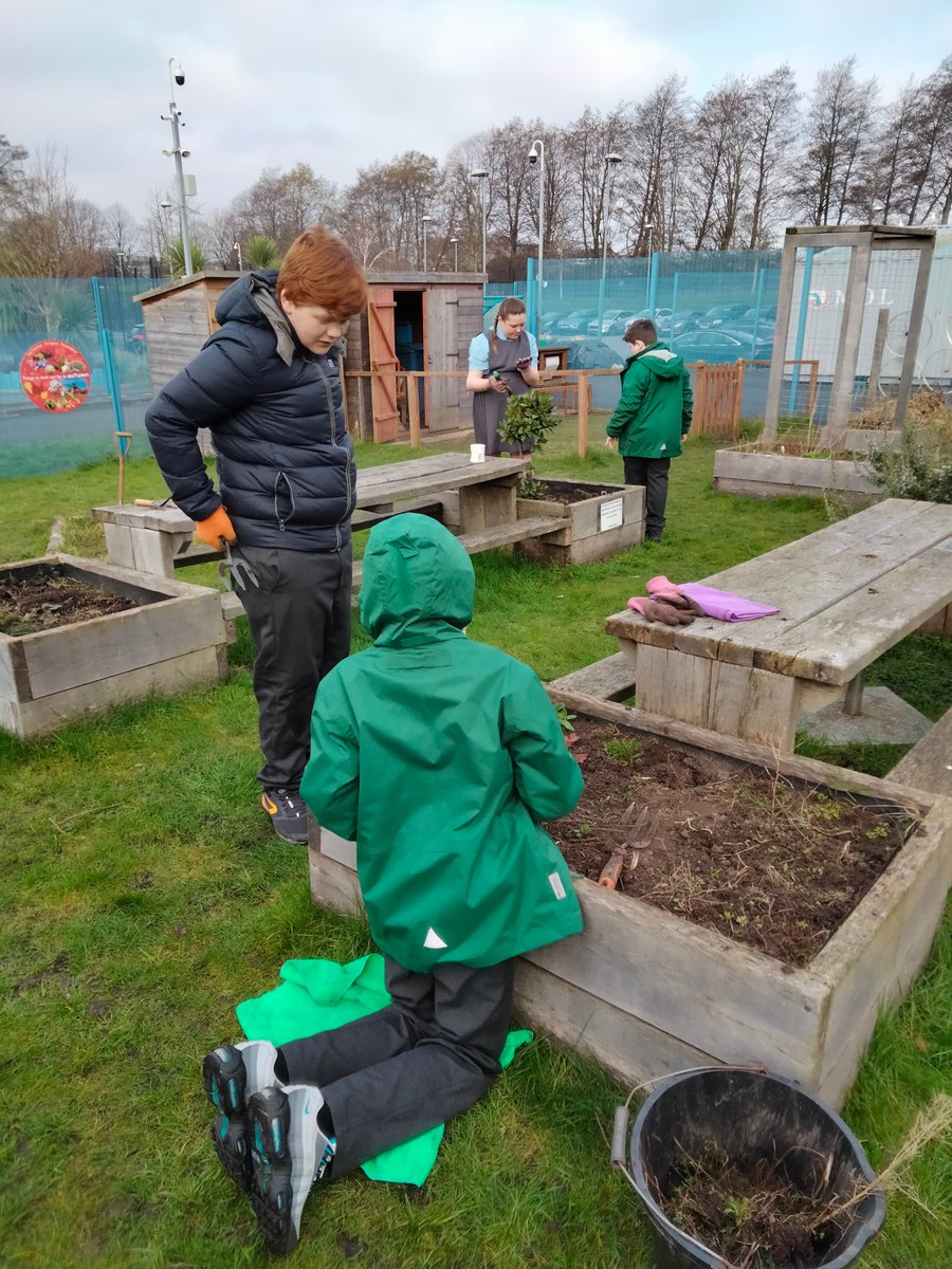 The lovely March sunshine had us out weeding, sowing seeds and visiting the rabbits this week @FaithPrimary - spring is in the air so we will be very busy in the weeks ahead 🌱🌷🐇