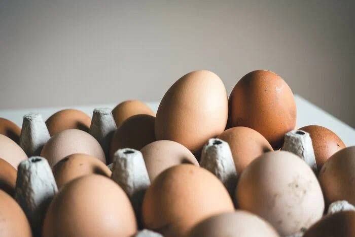jaouad2d's tweet photo. The protein in an egg is so similar in structure to our blood that theoretically, blood could be used as a substitute for eggs in baking. ๐ฅ๐ #EggProtein #BloodSubstitute #BakingTrivia https://t.co/hBvyvKxgW6