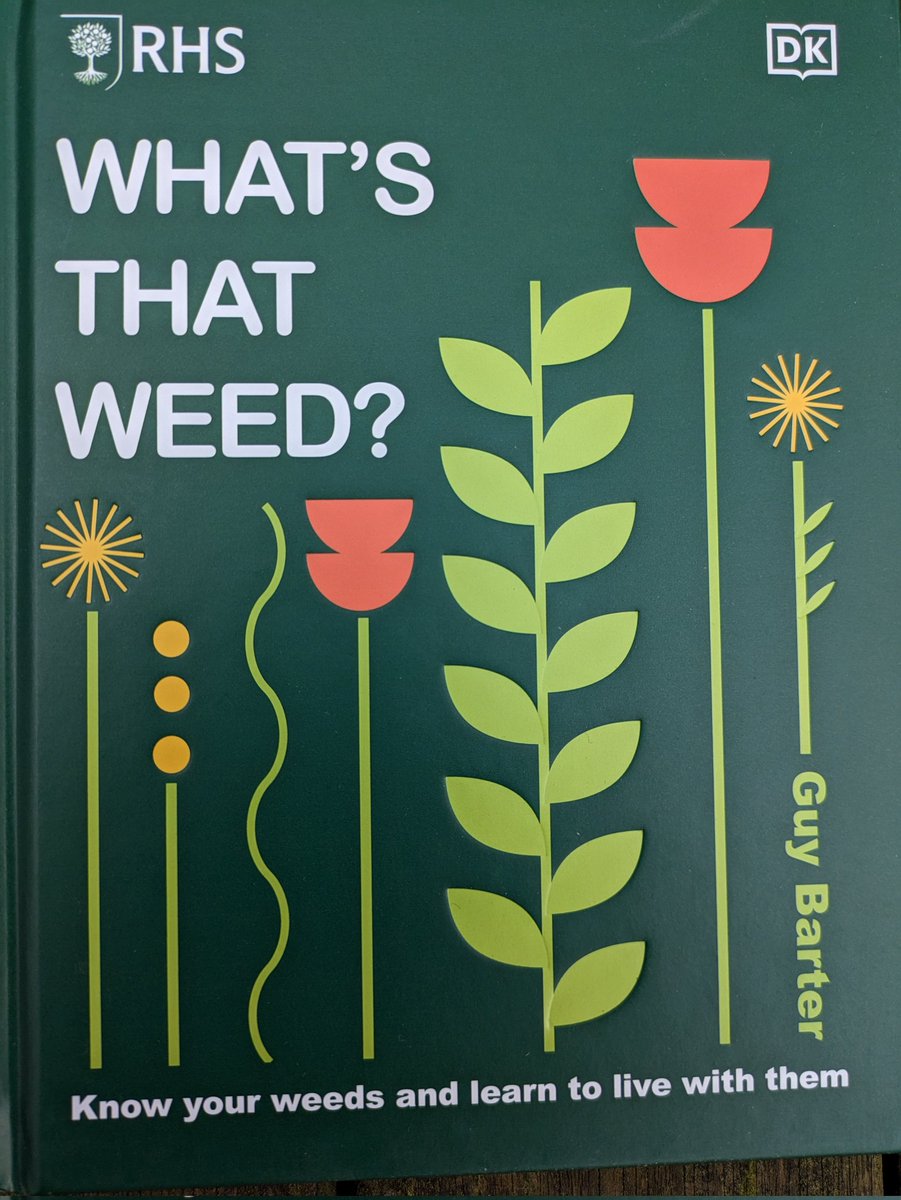 GuyBarter's tweet photo. I rather like weeds - my new book is all about them. Here speedwell contest with cleavers (wheel like leaves). The cleavers are doomed as grass will be sown &amp; they prefer bare soil but some  speedwell will persist to support wildlife with flowers/seeds https://t.co/zZRzp0UL3P