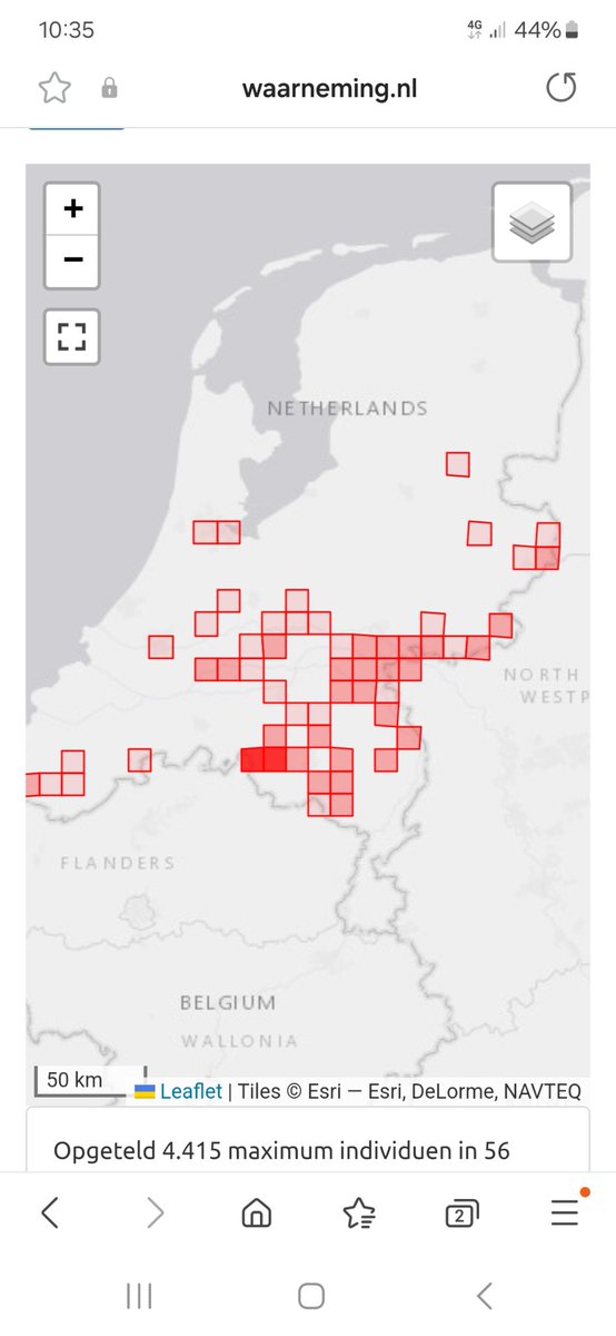 Veel groepen #kraanvogels momenteel midden NL. Meer zijn onderweg