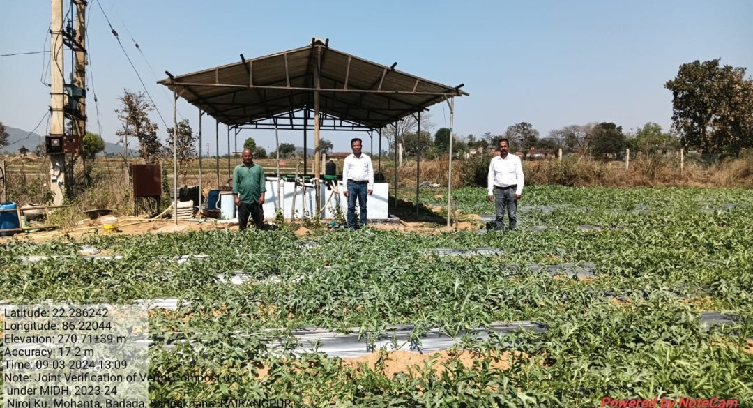 DDHMBJ30124's tweet photo. Joint verification for NIROJ KU MOHANTA's Vermi Compost Unit, #MIDH Rairangpur Block, embraced sustainable farming with 2.00 watermelon crops under #stateplan, drip irrigation under #PMKSY & mulching under MIDH support.@AgriGoI @DM_Mayurbhanj @Horticultureod1 @arvindpadhee https://t.co/ATFggaiyB1
