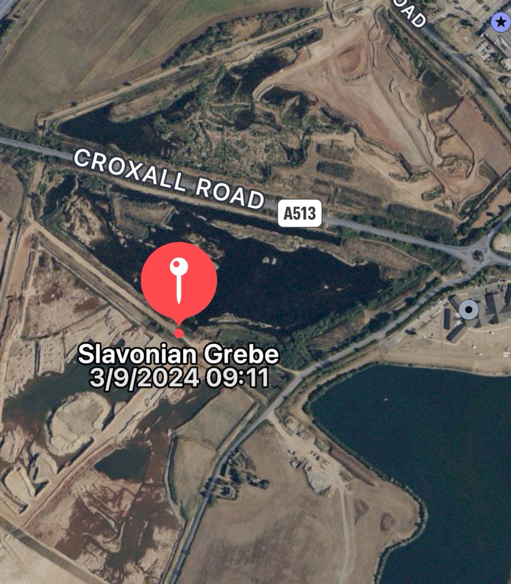 STAFFORDSHIRE: Slavonian Grebe (moulting into summer plumage) still at Whitemoor Haye. Also 4 Oystercatcher, 4 Ringed Plover, 2 Redshank, Peregrine & Merlin. Keep to public footpaths. @Staffsbirdnews #peakybirders #staffsbirding