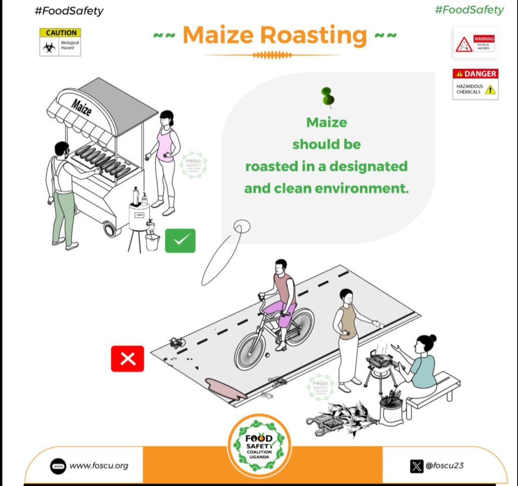 FOOD SAFETY ALERT!! We all enjoy a roasted or boiled maize. This is only SAFE if it is served HOT, in an enclosed clean environment, in appropriate food-grade material!! #FoodSafey | @foscu23 | foscu.org