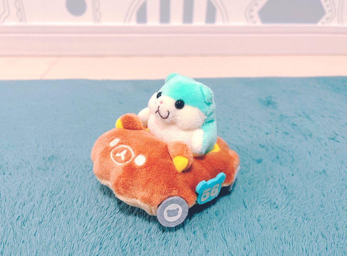 シンデレラフィット🚗