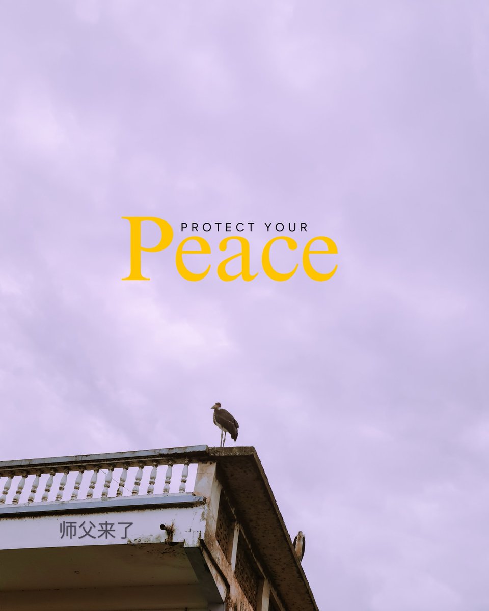 Samklein_35's tweet photo. "PROTECT YOUR PEACE"

📸师父来了📱 https://t.co/Gcoq2mVbSj