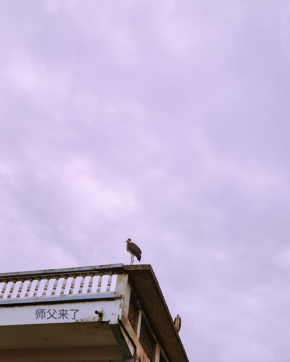 "PROTECT YOUR PEACE"

📸师父来了📱