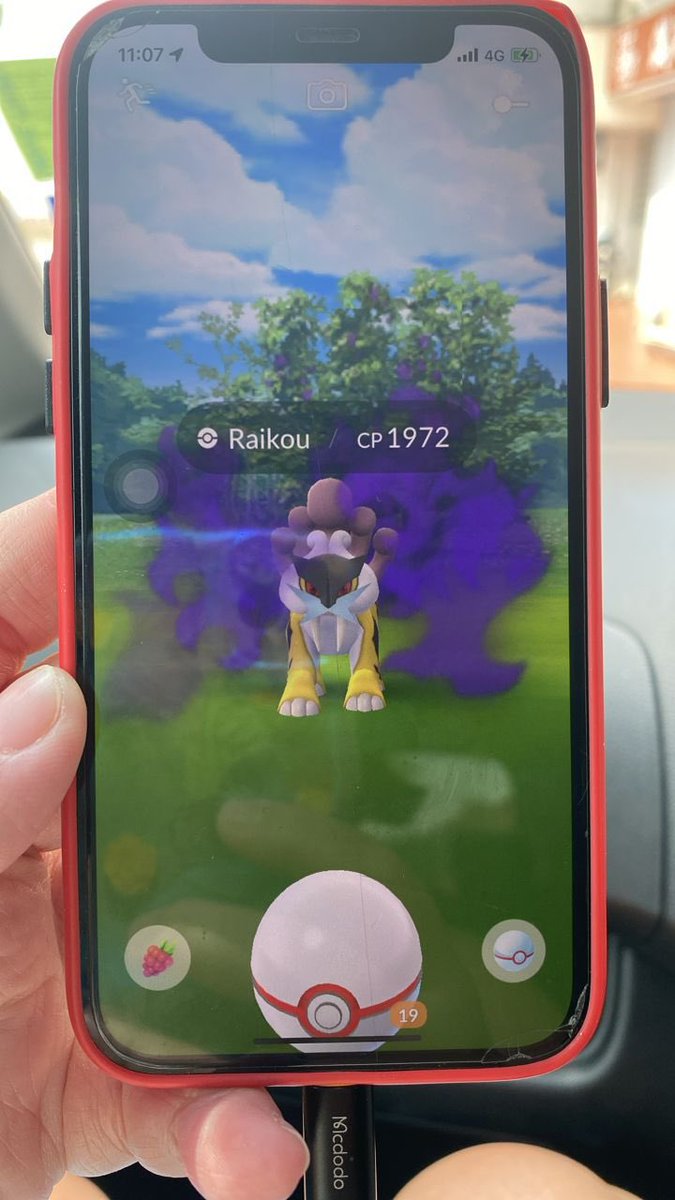 choon_thai's tweet image. Yay!!! Thanks to my good friends for help, manage to get the shadow hundo and also shiny Raikou! So happy!!! 

#shadowhundo #shadowraid #raikou