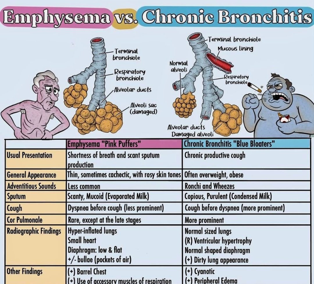 EMPHYSEMA VS CHRONIC BRONCHITIS #nursing #nursingnotes