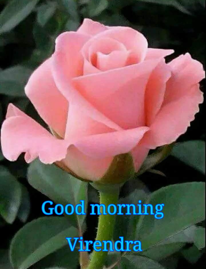 virendra dixit tweet media