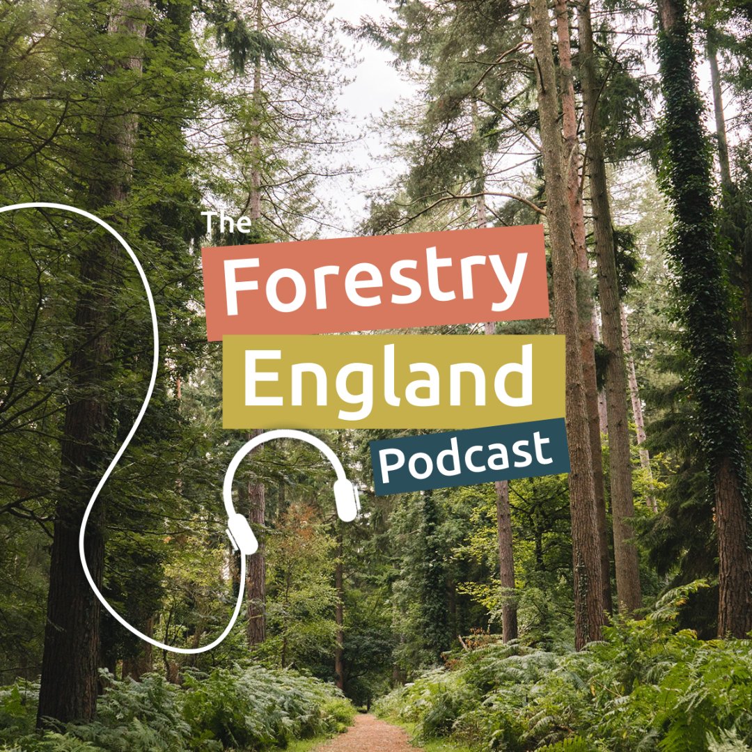 Have you listened to The Forestry England Podcast this week? 📱 
 
Every Thursday we’re taking you to one of six sites across England, and chatting about everything from wildlife to wellbeing with our host Bex Lindsay.
 
Find out more 👉 forestryeng.land/the-podcast