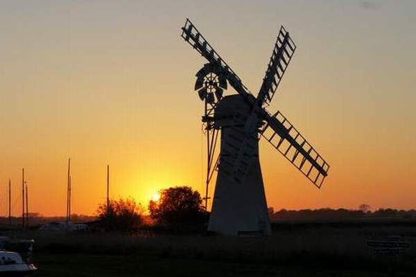 BureCottage tweet media