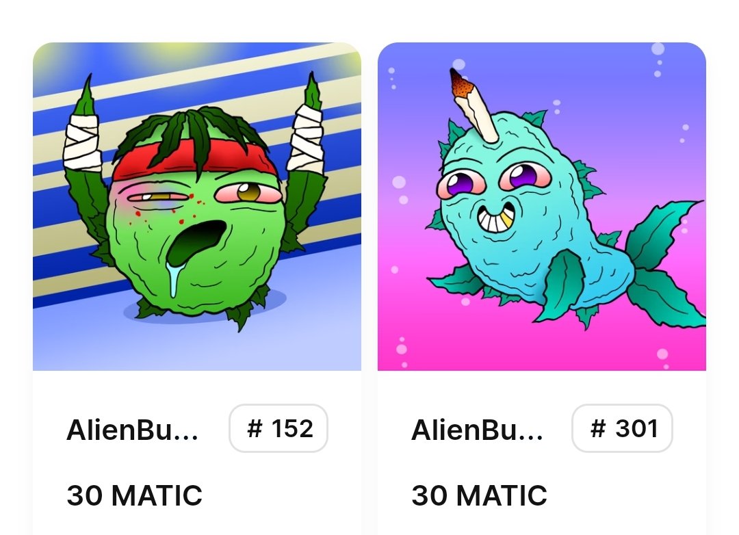 Nice relisting on secondary market🔥
▪️who knows the left one?
▪️30 MATIC
▪️holder: <a href="/FeatherFrogs/">Fᴇᴀᴛʜᴇʀ Fʀᴏɢs</a>
▶️ opensea.io/collection/ali…

#AlienBuddyBuds