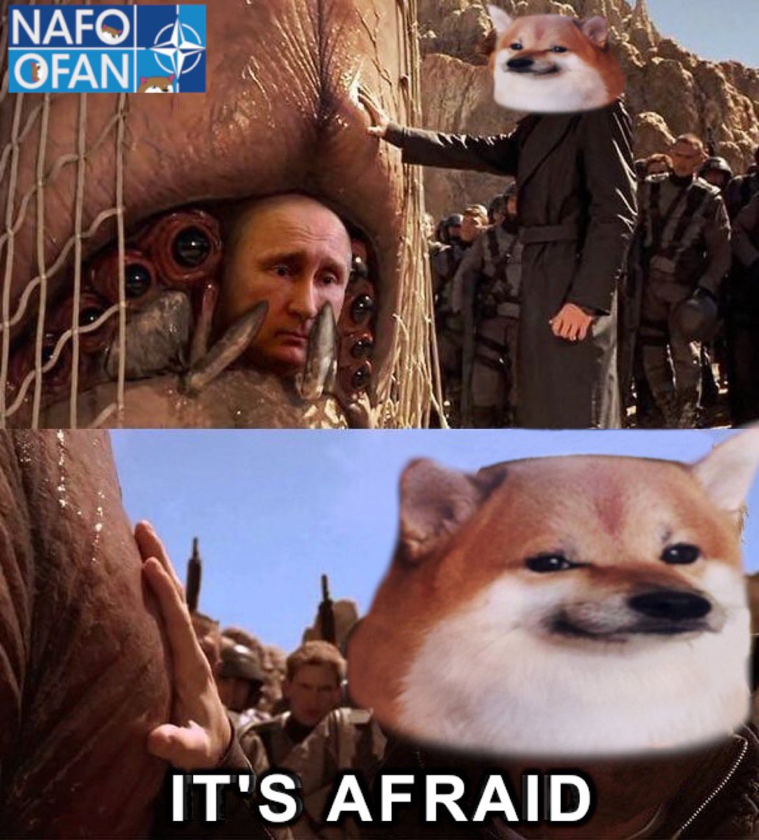 #TaurusForUkraine or i will escalate!