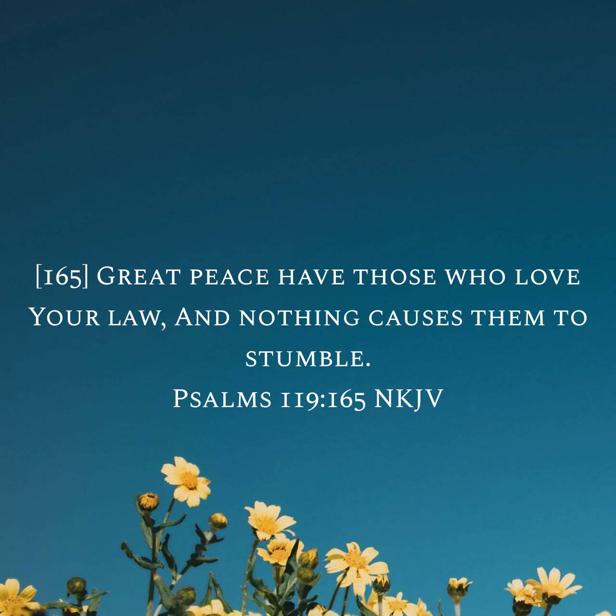 cintakirabo's tweet photo. Psalms 119:165 NKJV
[165] Great peace have those who love Your law, And nothing causes them to stumble.

https://t.co/vH1jzyJ521 https://t.co/Qr6j3BZgSs