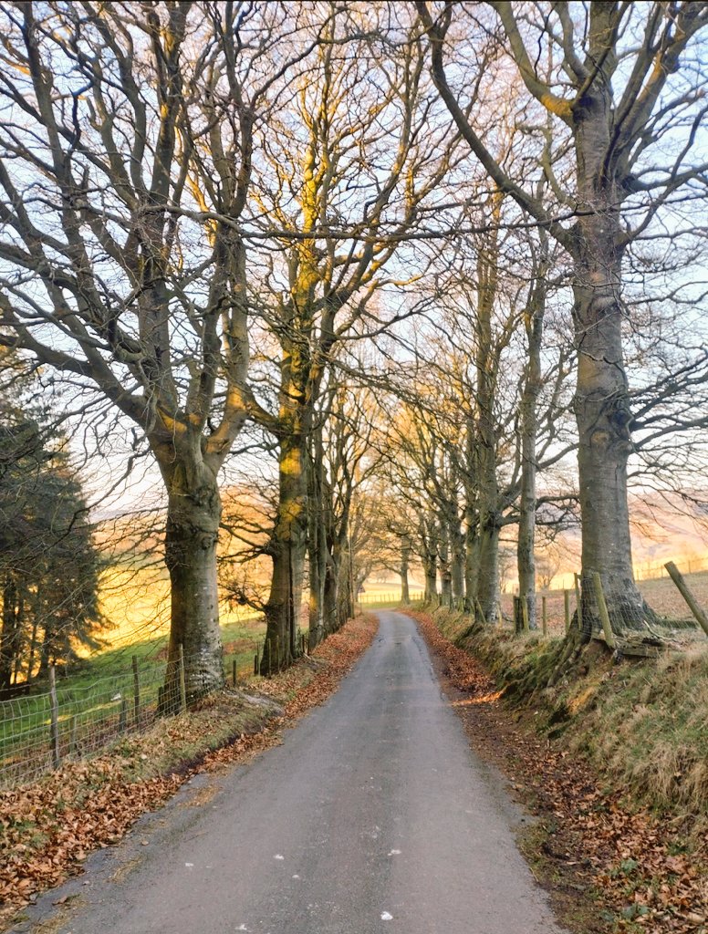 @LanesTree Coming down from the Long Mynd in Shropshire.