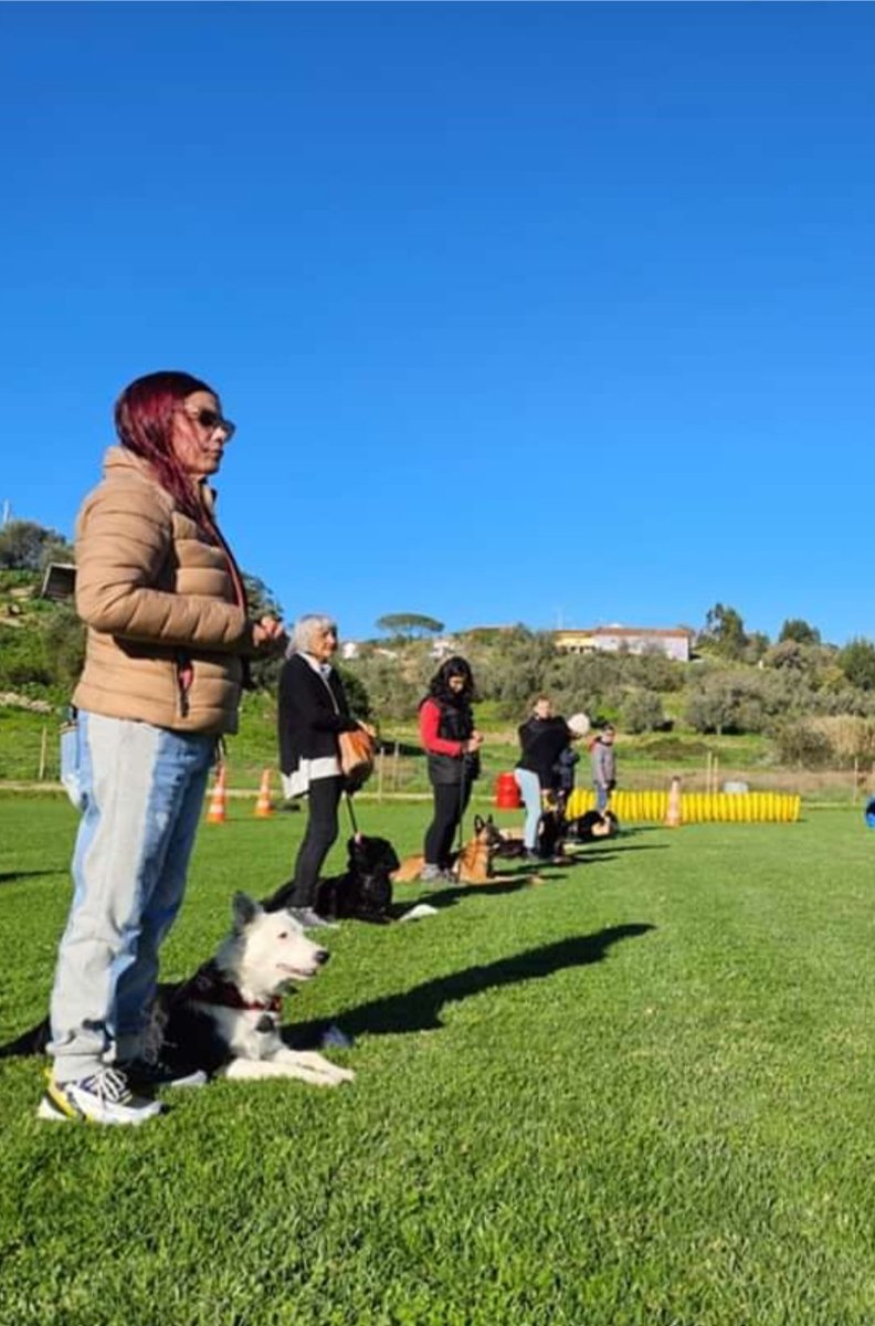 We love our trainings! #BorderCollie <a href="/DogsonX/">Dogs On X</a> <a href="/centroalfadog/">Alfa Dog</a>