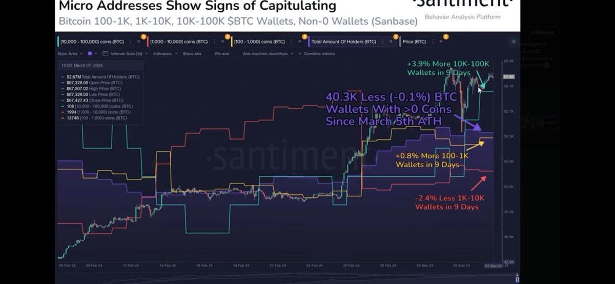 Market watch: Whales & Sharks are steady behind the walls, while the minnows might be swimming away 😔. #CryptoCurrents #SharkWatch #WallSteady #TradingTides