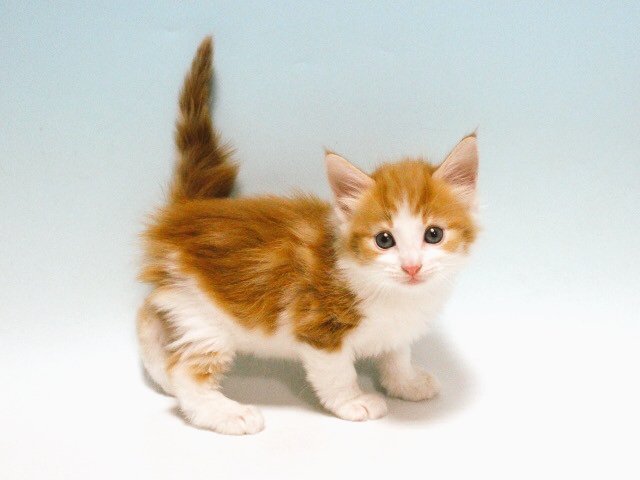 ぽっちゃんとやっぱりかわいいな 