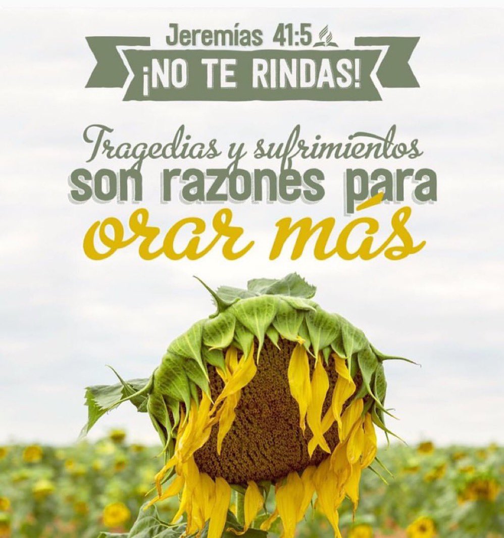 Jeremías 41

🔊Los cobardes actúan con mentiras y se aprovechan de la confianza y debilidad de los demás, más cuando ven la justicia huyen. 

🔊Haz siempre el bien, que nada impida ni cuestione tu lealtad y fidelidad, el tiempo dará a conocer el verdadero carácter 

#rpsp