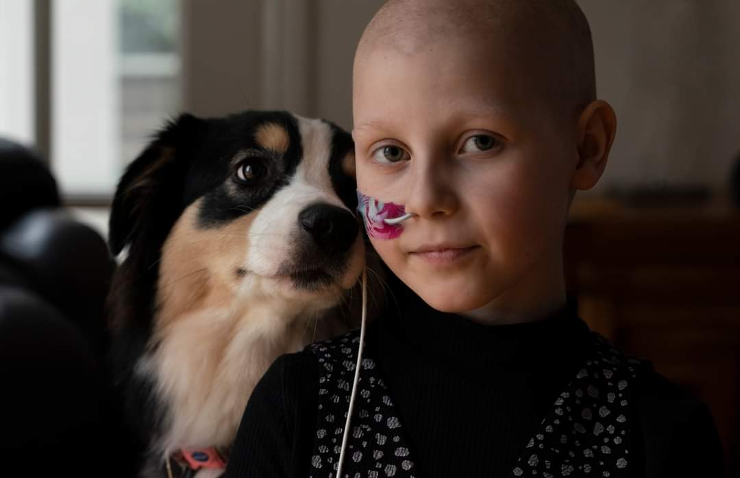 Let's support Freya and Echo at #Crufts this Sunday afternoon on #Channel4. Learn about Freya's story with Wilms tumour and vote for them to win The Kennel Club Hero Dog Awards at tinyurl.com/23z6ub57

#wilms #wilmscancer #kidneycancer #kidneycanceruk  #crufts #herodog #dog