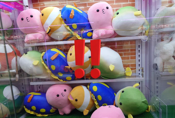 サープラに突然のウミウシ
丁度Nivisがいたので取って貰いました

…ん?お前は…? 