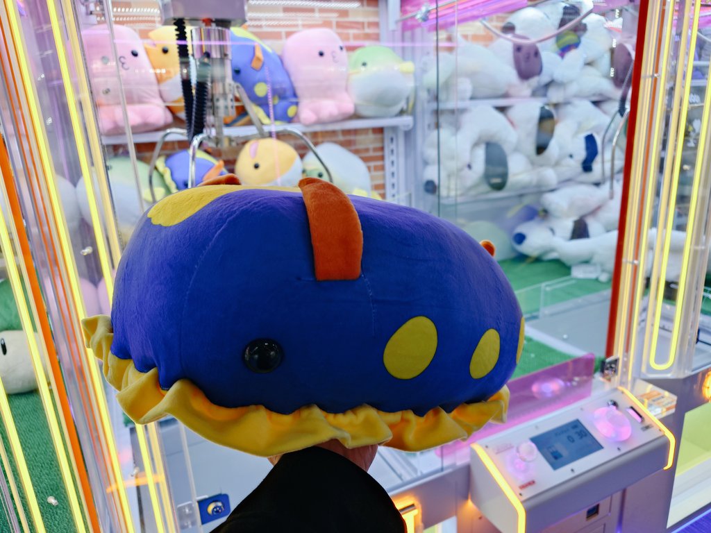 サープラに突然のウミウシ
丁度Nivisがいたので取って貰いました

…ん?お前は…? 