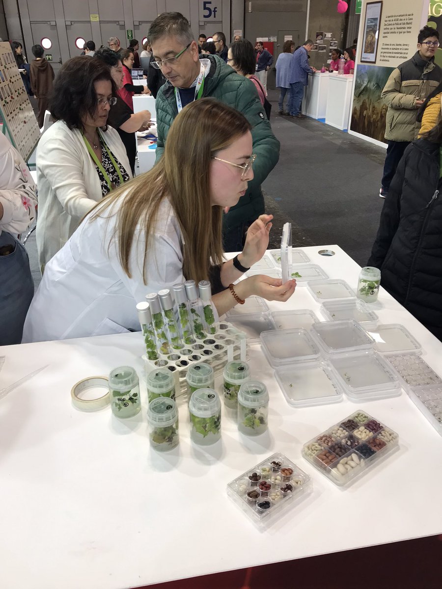INIA_es's tweet photo. Some photos of @CBGP_Madrid workshops on nitrogen responses and plant pigments at #MadridEsCiencia @CSICdivulga @Molina_CBGP https://t.co/fklVbIEQQW
