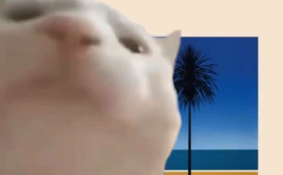 WEB3Postal's tweet photo. @Rewkang @HeteronimoDegen $VCAT vibes are here and here to stay. It's probably gonna be a meme club @VibingCatSolana meow
Ticket to Bahamas? https://t.co/8OTNiqZdeo