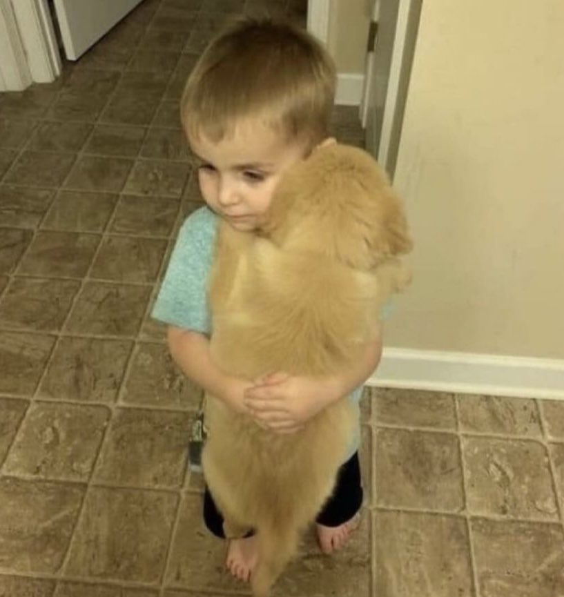 JosephNathan24's tweet photo. Personne :

Moi quand je vais chez quelqu'un et qu'il a un animal de compagnie https://t.co/VvDcKwGiEj