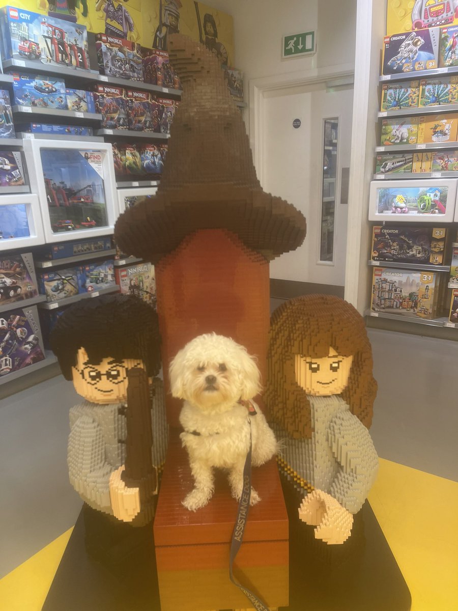 999bethanyx's tweet photo. @Crufts @Channel4 @clarebalding my assistance dog dixie is a hufflepuff! so cute! 😊🐶❤️🧙🏻‍♀️⚡️✨ #crufts https://t.co/dNzWGBQQsj