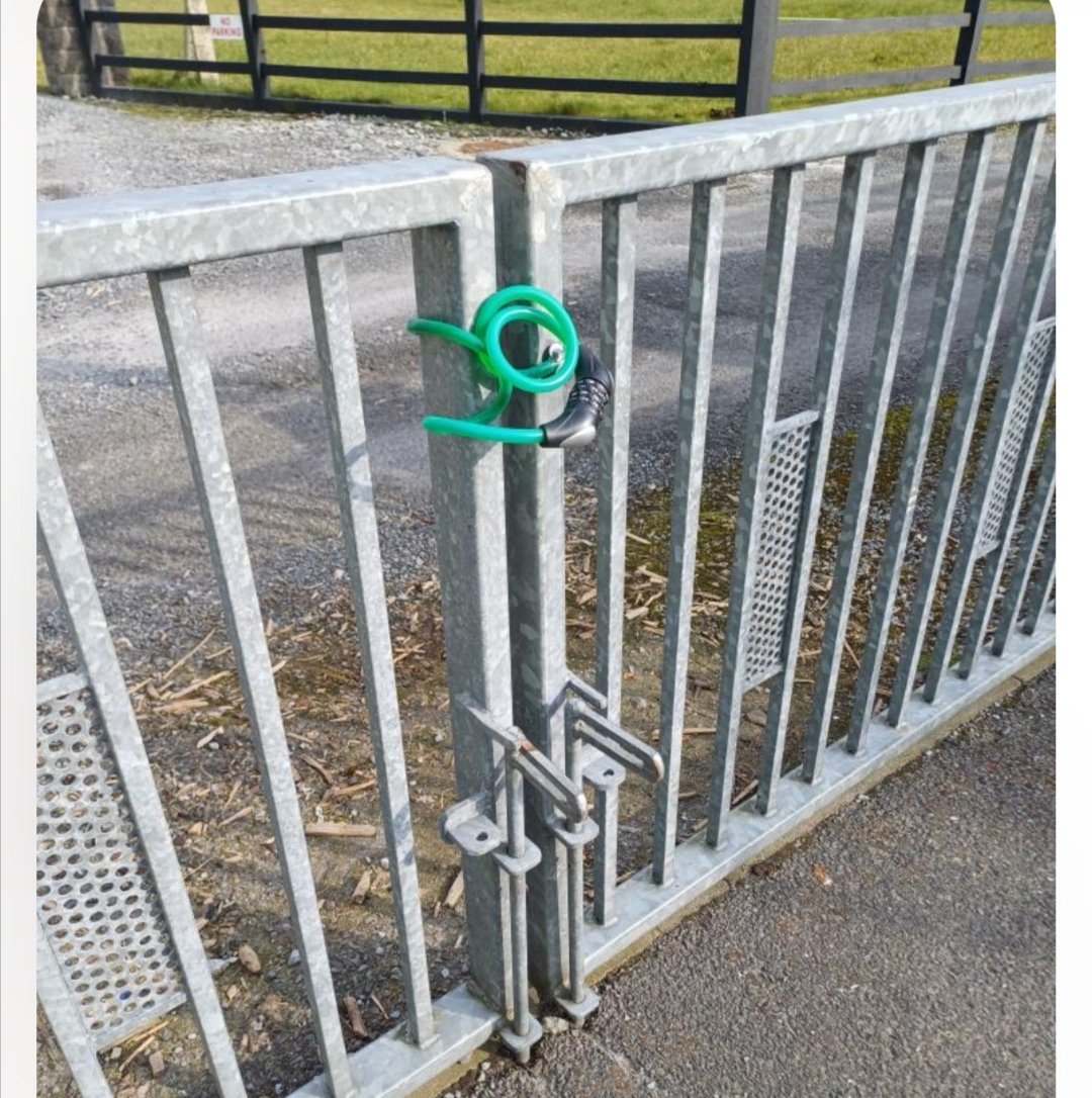 The Struggle Is Wheel tweet media