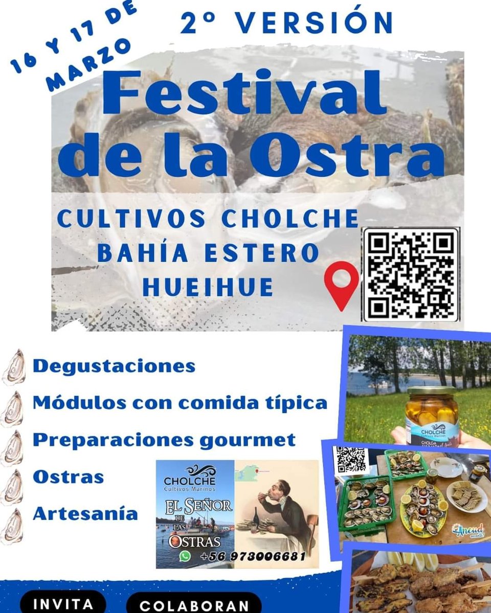 comounpescado's tweet photo. Aún es tiempo para organizarse e ir al 2do Festival de la Ostra 

16 y 17 de Marzo en Cultivos Cholche, en la Comuna de Ancud.

La Ubicación : ponga en Google maps El Señor de las Ostras o Cultivos Cholche y sabrá el punto exacto #Ostras #Chiloe https://t.co/fEUhaZC2gf