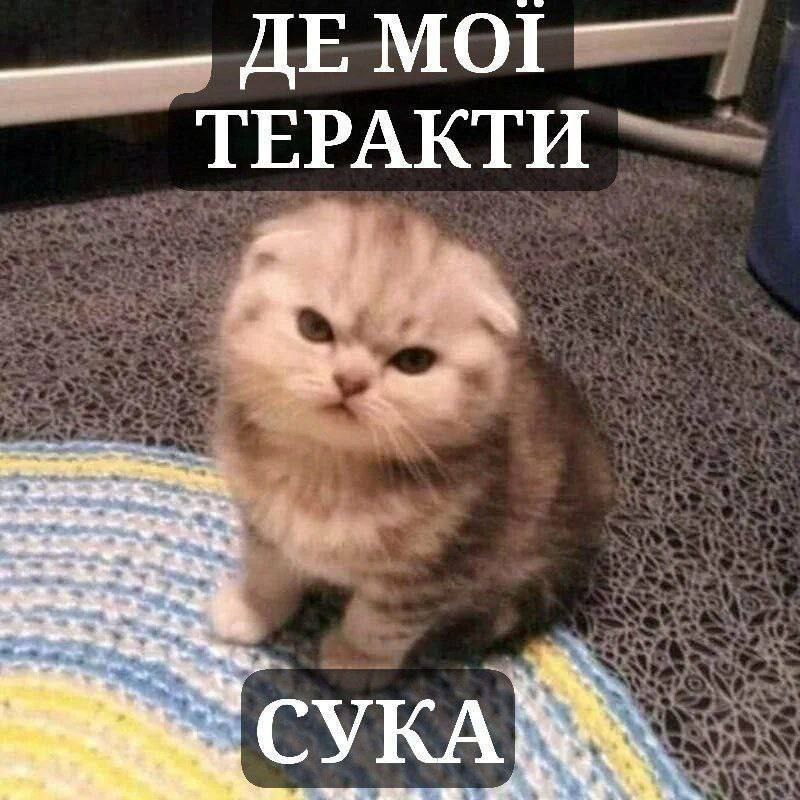 TypicalMeIsMe tweet picture