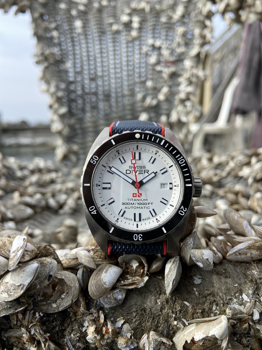 SwissD1VER's tweet image. Shelling out for a new chair

Today’s catch #Cully #Switzerland #SwissD1VER #Watch #SD3 #Titanium🇨🇭🤿