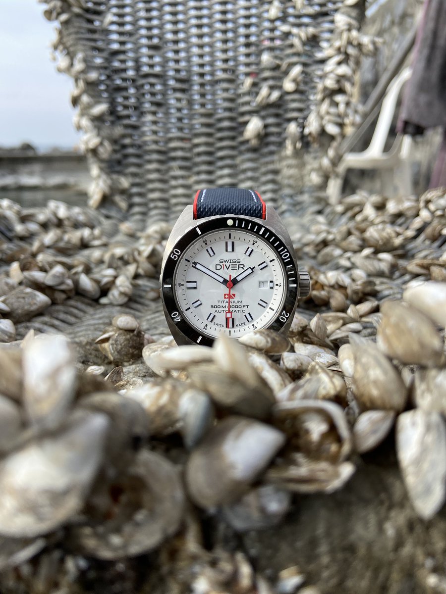 SwissD1VER's tweet image. Shelling out for a new chair

Today’s catch #Cully #Switzerland #SwissD1VER #Watch #SD3 #Titanium🇨🇭🤿