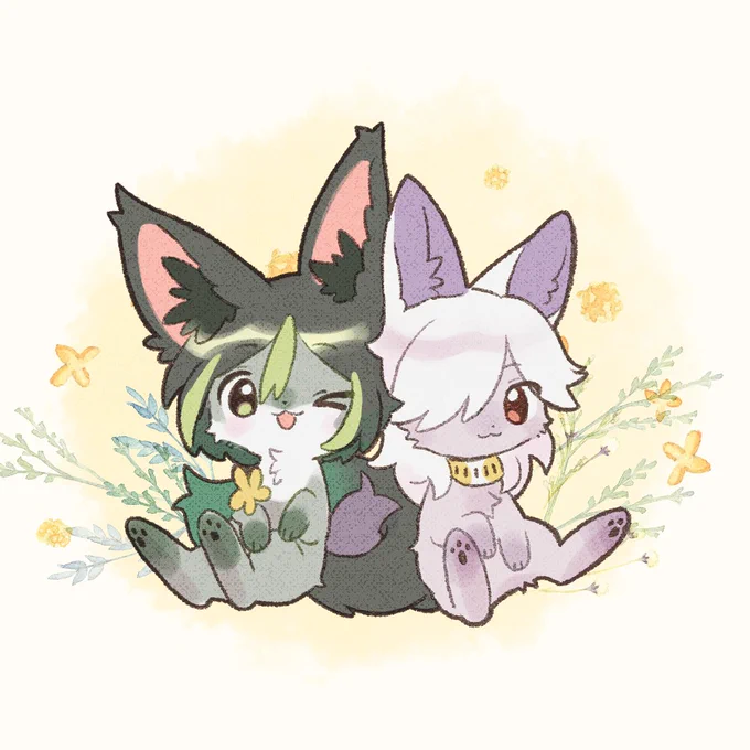 おみみ 