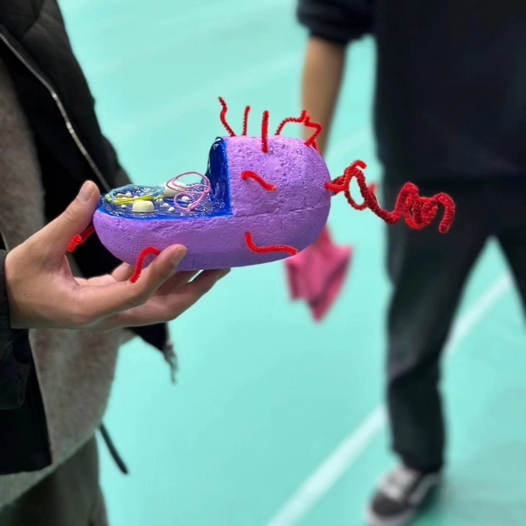 BotchanLab's tweet photo. 今日は、葛飾キャンパスで行われたみらい研に参加してきました✨

企画展では、雲と火山の実験
常設展では、植物の色･葉脈標本･大腸菌模型の展示をしました🧬🦠👩‍🔬

楽しかったです！！ https://t.co/csPNdYmgHr