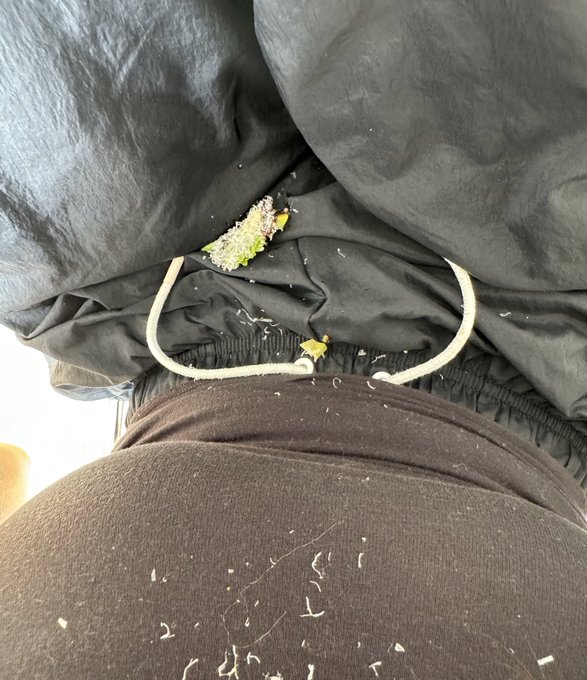 learning my lesson that regular bread is too wimpy for my avo toast https://t.co/ordoVdfhKX