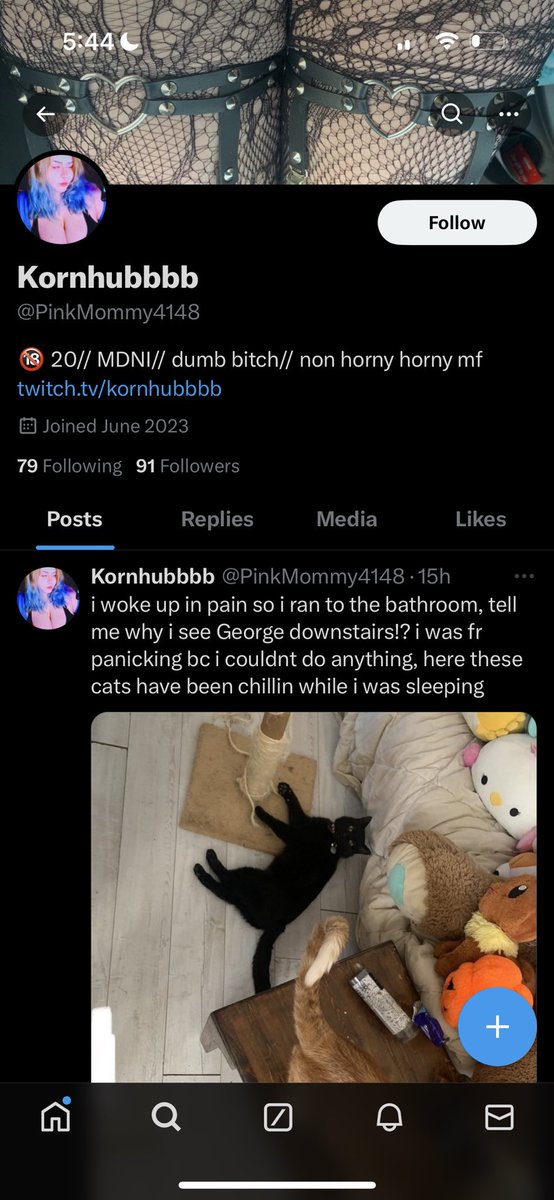 Hey I just wanna point out that this girl told me to off myself, called me the r slur, has admitted to using the n word in the past and bullied my gf out of someone’s chat when that streamer is friends with her :3 #valtwt