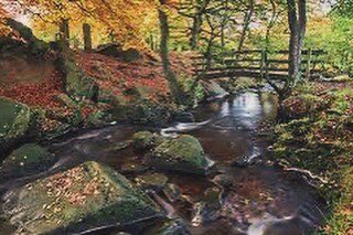 ShineWithTabithaYoga tweet media