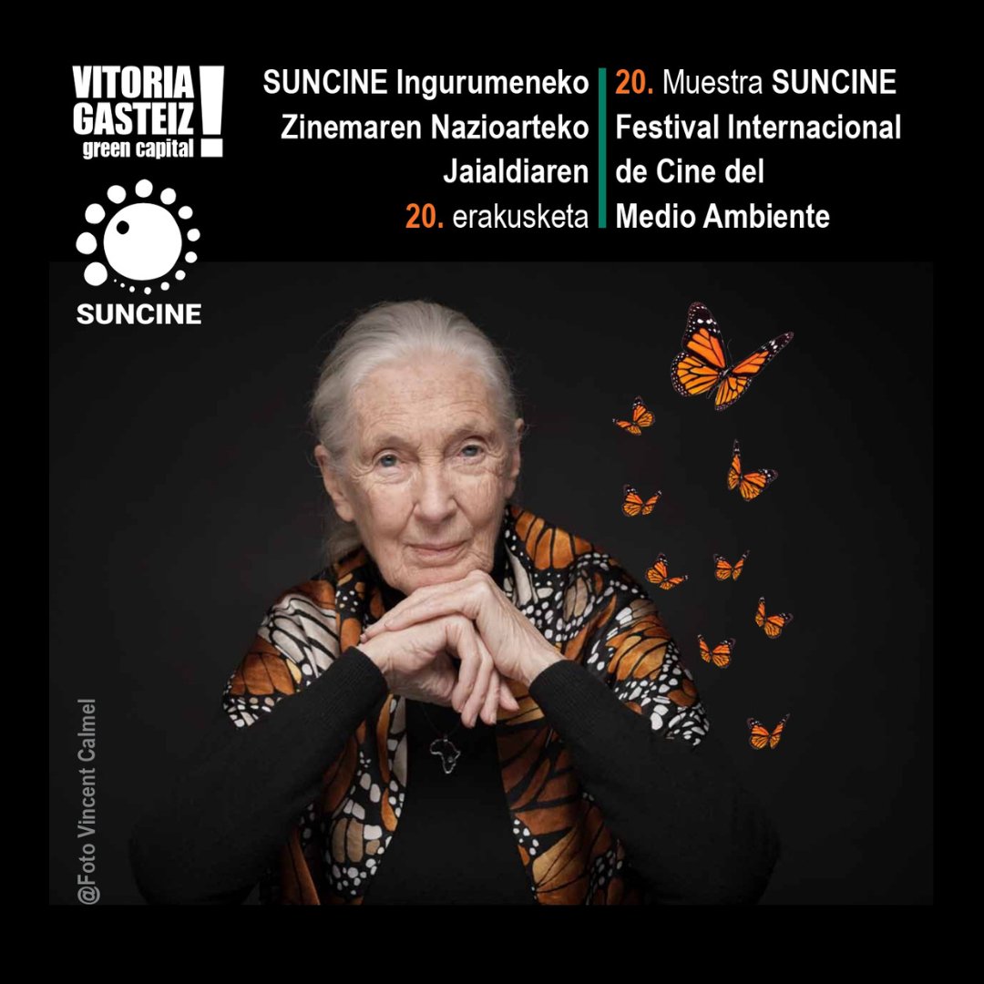 💚 🎬 20 años de la Muestra #SUNCINE en Vitoria-Gasteiz con el Mejor Cine Ambiental! 🎟 Entrada libre 📅 11<21 de marzo 📍 Centro Cívico Aldabe | Vitoria-Gasteiz ℹ️ Más info👇 blogs.vitoria-gasteiz.org/medios/2024/03…