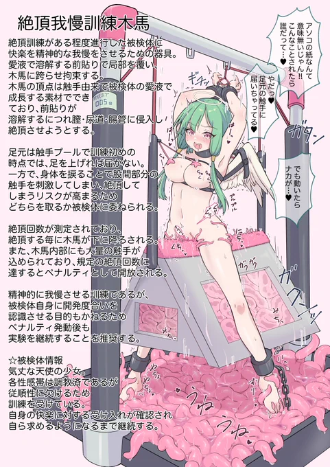 身体も心もわからせ 