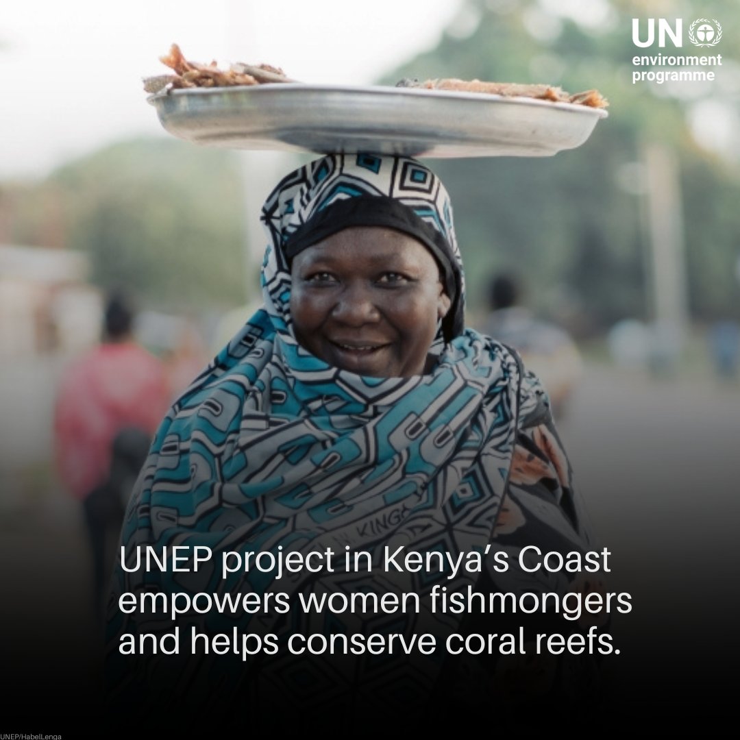 UNEP's tweet photo. Gender equality and benefit-sharing of natural resources are not only good for the economy but also the environment.

Find out how a UNEP project promotes biodiversity by strengthening women's role in managing marine areas in coastal Kenya. https://t.co/1CtssXgWHW https://t.co/tdkhbjyFB6