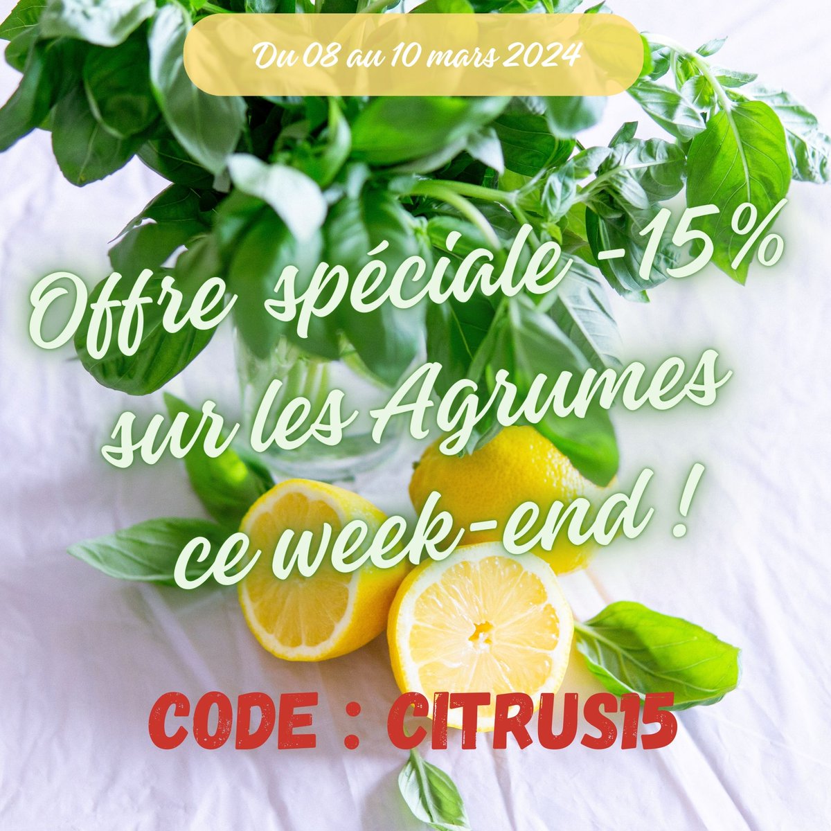 boutiquevegetal's tweet photo. 😃 Citrus à gogo tout le week-end ! 🍊
Offre spéciale -15% sur les agrumes 🍋
👉 Code : CITRUS15
https://t.co/wT3ZygBs9i
.
.
Du 08 au 10 mars 2024 uniquement.
#specialoffer #offrespéciale #offer #boutiquevegetale #jardin #citrus #lemon #citrons #jardinage #weekend #graines https://t.co/u8GD1AAGTZ