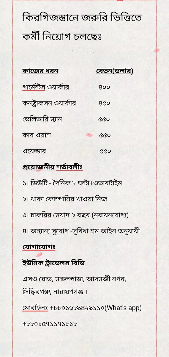 NasirUniquecc21's tweet photo. @MyshaIslam0 https://t.co/veqvdaLM63
