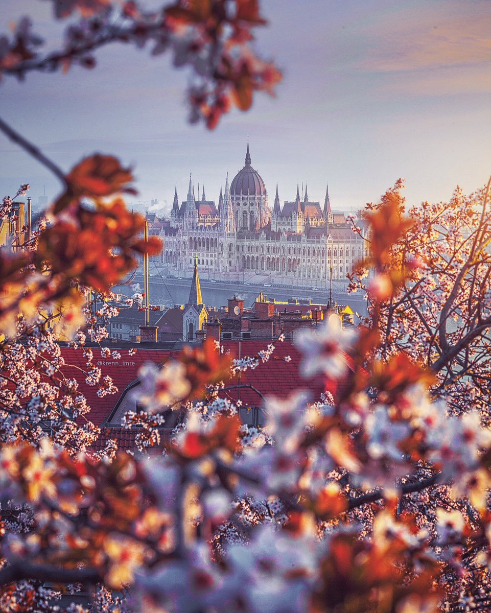 Spring in all it’s glory in Budapest, Hungary