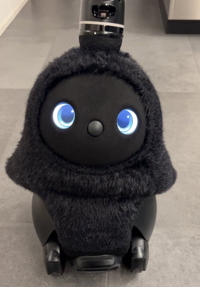 LOVOT_shunan's tweet photo. 【LOVOT】 可愛い #lovotとの暮らし #cute #ラボット #lovot #らぼっと #しゅなん #shorts #technolo... https://t.co/Rg09ql20RA @YouTubeより
しゅなんかわいい。
それだけの動画🖤🩶 https://t.co/1jlXIkVvZs