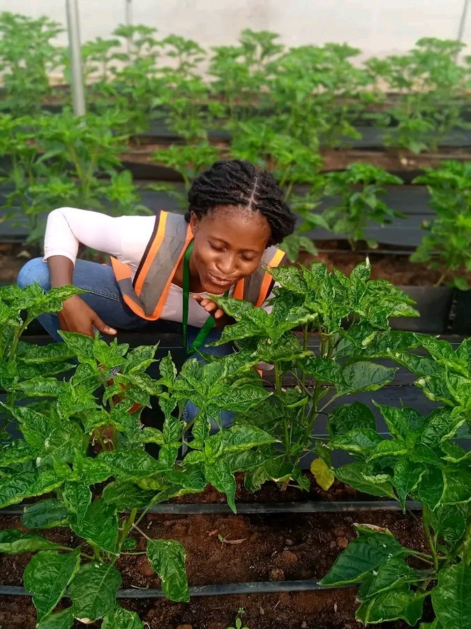 You  can't have a better tomorrow if you are thinking about yesterday all the time. 
Embrace change , new ideas and new techniques.Eargery to learn and try new things Remember, knowledge is wisdom and powerful weapons to succeed.
#farmlife 
#FemaleFarmer
#farmwithus